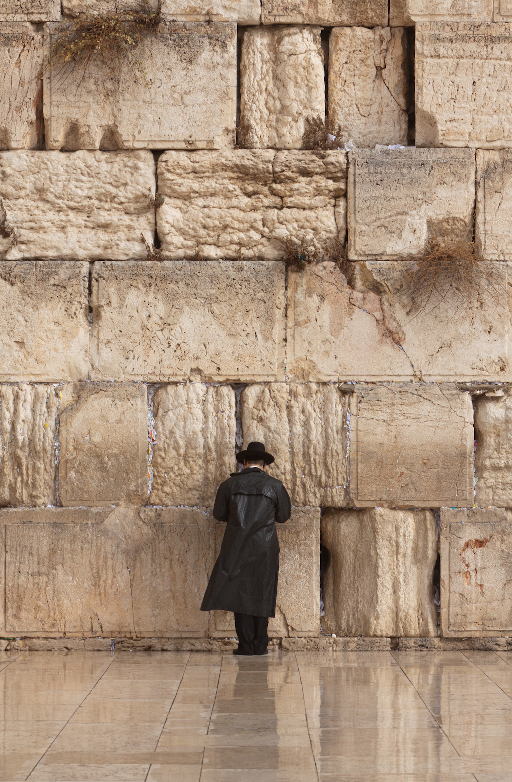 Jewish man praying on the Wailing Wall in Jerusalem – El Beth EL