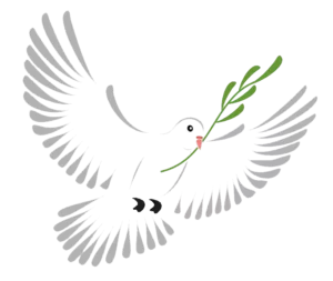 Colombe qui vole et portant un brin d'olivier dans son bec