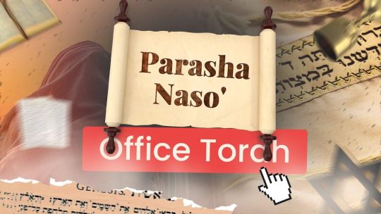 Miniature Youtube TMPI El Bethel représentant un rouleau de la Torah avec le nom de la parasha Terouma dessus en premier plan, puis un talith, une coupe de vin en second plan