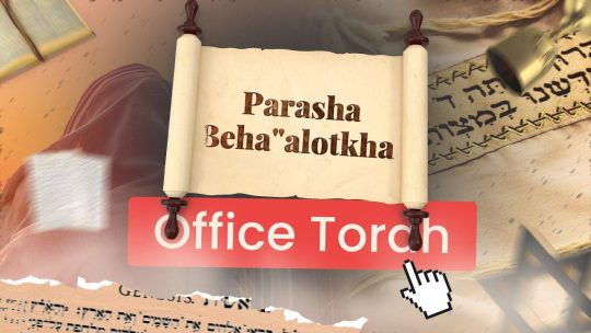 Miniature Youtube TMPI El Bethel représentant un rouleau de la Torah avec le nom de la parasha Terouma dessus en premier plan, puis un talith, une coupe de vin en second plan