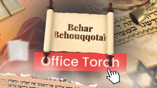 Miniature Youtube représentant un rouleau de la Torah avec le nom de la parasha dessus en premier plan, puis un talith, une coupe de vin en second plan
