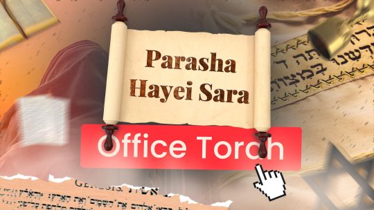 Miniature Youtube TMPI El Bethel représentant un rouleau de la Torah avec le nom de la parasha dessus en premier plan, puis un talith, une coupe de vin en second plan