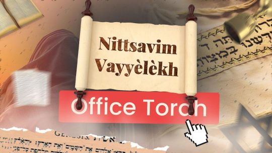 Miniature Youtube TMPI El Bethel représentant un rouleau de la Torah avec le nom de la parasha dessus en premier plan, puis un talith, une coupe de vin en second plan
