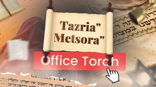 Miniature Youtube représentant un rouleau de la Torah avec le nom de la parasha dessus en premier plan, puis un talith, une coupe de vin en second plan